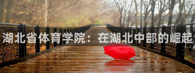 JJB竞技宝官方正版app集团logo:湖北省体育学院:在湖