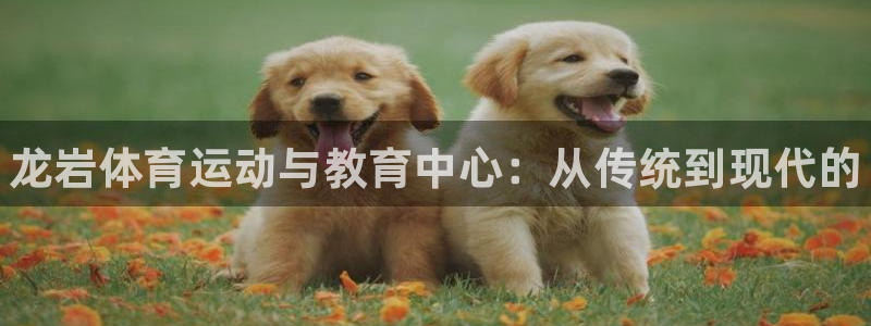 JJB竞技宝官网下载招商电话号码是多少号:龙岩体育运动与教育