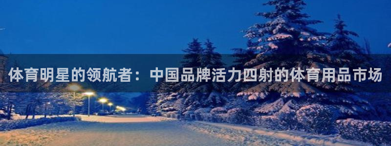 JJB竞技宝官网下载软件:体育明星的领航者:中国品牌活力四射