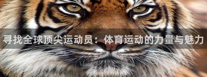 JJB竞技宝官方正版app娱乐下载:寻找全球顶尖运动员:体育